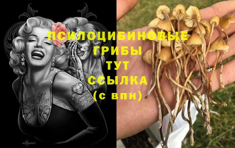 Галлюциногенные грибы Magic Shrooms  Анадырь 